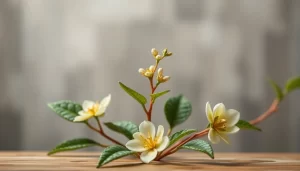 Efectos de la ashwagandha en los sueños y la mente guía completa efectos-de-la-ashwagandha-en-los-suenos-y-la-mente-guia-completa